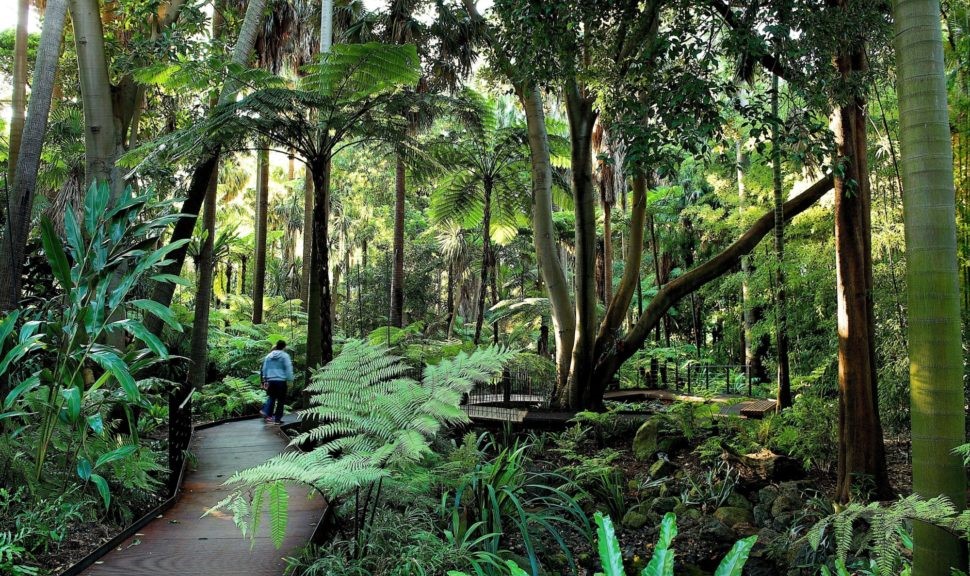 Australian Gardens