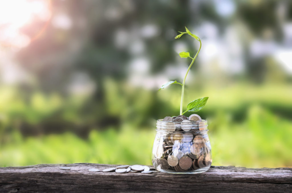 concept money growing and small tree in jar